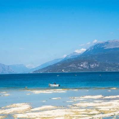 皮尔磁：机械设备的全生命周期安...