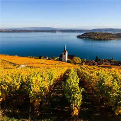 江苏南通水务集团有限公司原党委书记、董事长吴益平接受纪律审查和监察调查