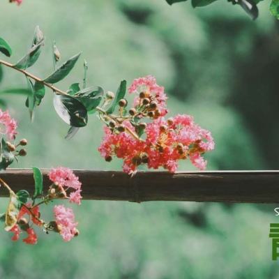 不良网站正能量软件窗口下载免费大全二次元