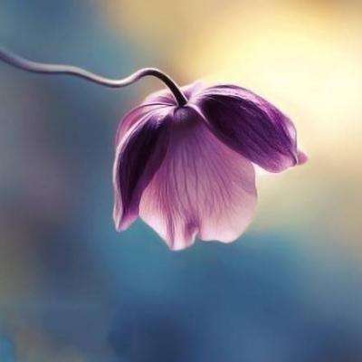 燃料危机下印度面临艰难抉择