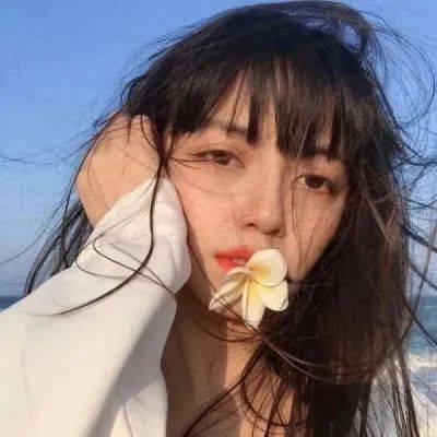 4438x全国最大成人