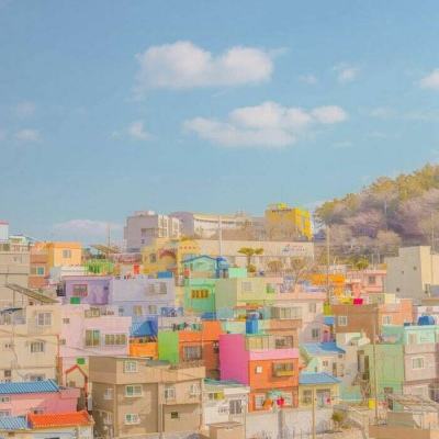 tiktok成人版下载