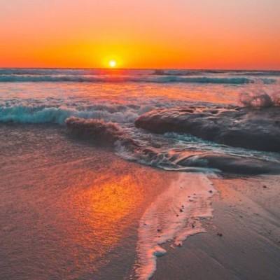 tiktok成人版下载