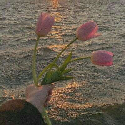 大反派猎杀系统截图