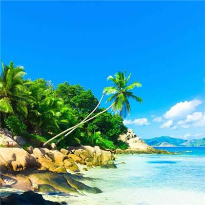 新春走基层｜喀什“新农人”：我带沙漠番茄闯市场