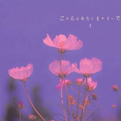 郑泽光大使：拥抱“中国机遇” 投身“中国梦”