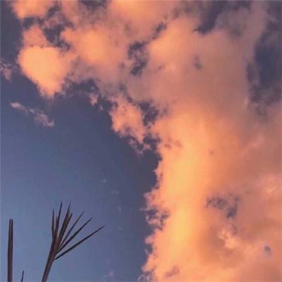 不该瞒着妻子参加漫展第一集动漫