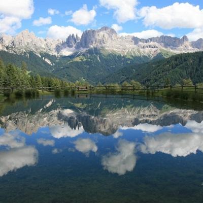 全国猪价已跌破5元