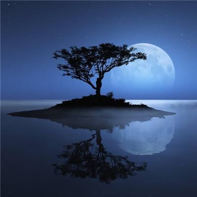 国产大片免费视频在线观看