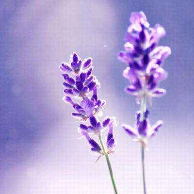 啃下汽车零部件技术硬骨头