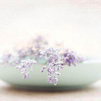 91豆花社区在线