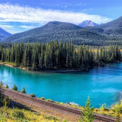 成品人视频w免费观看