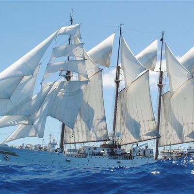 日韩无砖专区2020狼