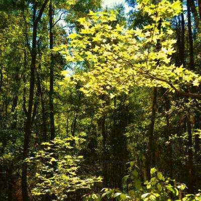 我顶开妈妈的生命之门最新截图