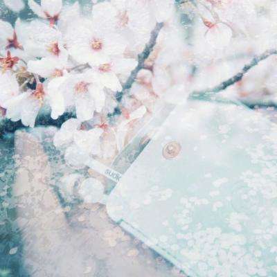 马克龙称法国或派兵霍尔木兹海峡