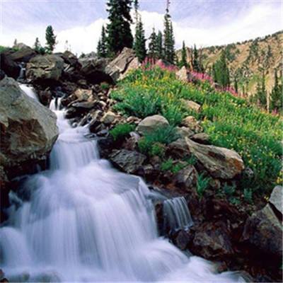 5G影院天天运动天天爽