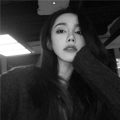 岛国无码av免费看