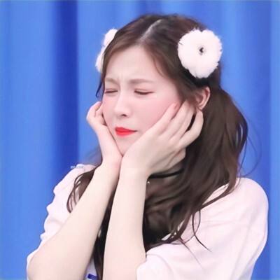 埃及猫动画原版视频免费观看