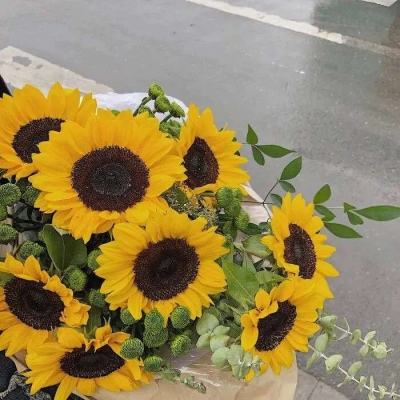 05版 -怀柔综合性国家科学中心发布8项突破性成果