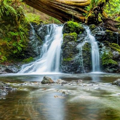 无糖食品不含糖，多吃不会胖……是真是假？