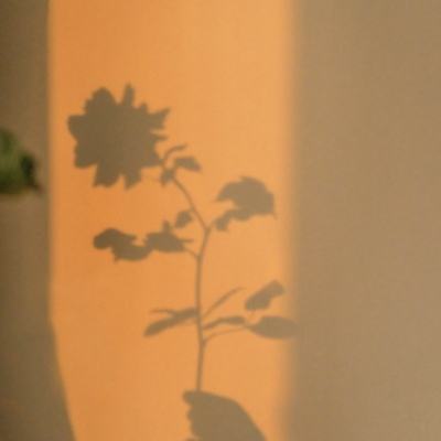 全国社保基金多次在A股大跌时果断加仓