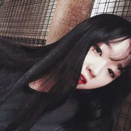 造纸轻工周报：家居智能化加速存量换新；高股息梳理；关注思摩尔、乐舒适业绩