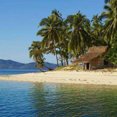 「竹白」虽逝，「重新思考」不止：两种订阅新方式